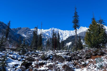 snow-covered mountains with pine trees in the background and rocks covered with snow in front.の写真素材