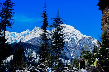 snow-covered mountains with pine trees in the background and rocks covered with snow in front.の写真素材