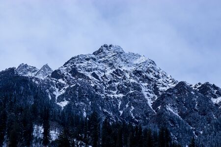 snow-covered mountain with pine trees at the bottom of the mountainの写真素材
