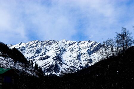 snow-covered mountain in the background with mountain covered with pine trees in the front.の写真素材