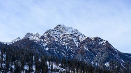 snow-covered mountain in the background with mountain covered with pine trees in the front.の写真素材