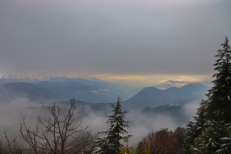 pine trees with snowfall on them during winter having mountain in the backgroundの写真素材