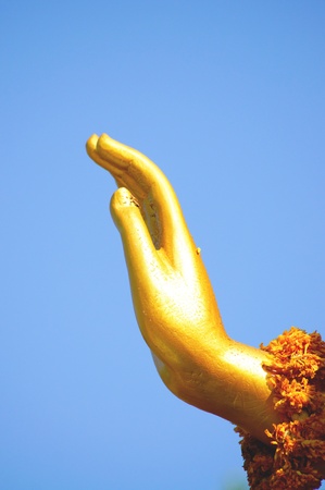 Hand of Buddhaの写真素材