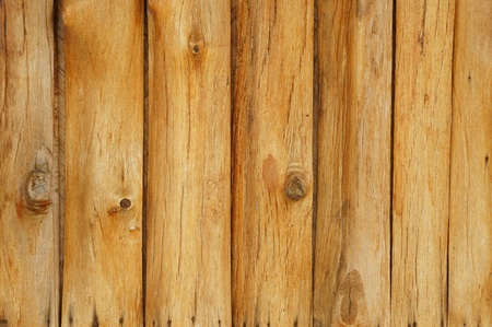 Wooden Wall             の写真素材
