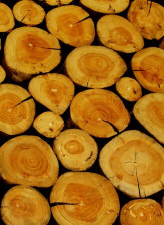 Stacked Logs Background                     の写真素材