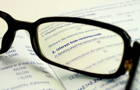 Interest From Revolving Credit              