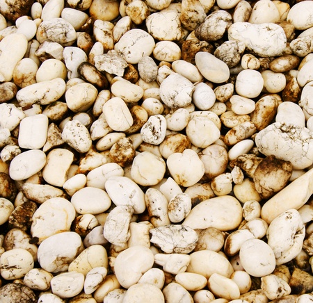 White Pebbles with Mossの写真素材