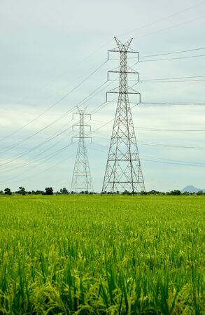 High-voltage towers on the rice field in Thailandの写真素材