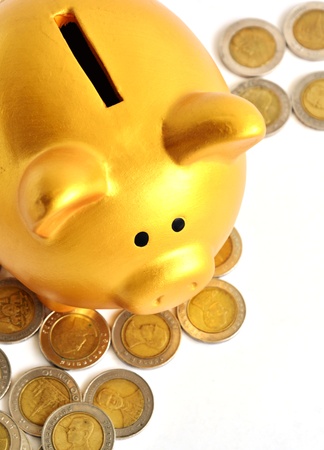 Golden Piggy Bank and Thai Baht Coinsの写真素材