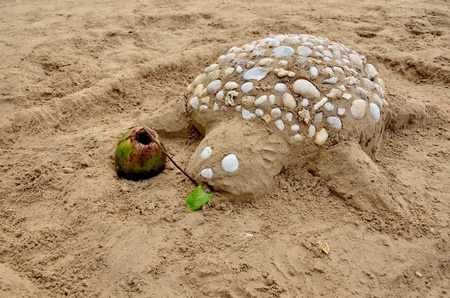 Sand-Turtleの写真素材