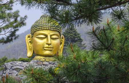 Golden Graet Buddha, Koreaの写真素材