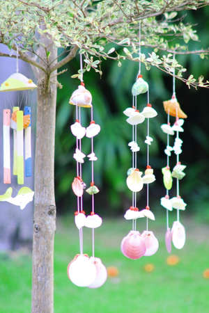 Seashells  mobile hang on tree in gardenの写真素材