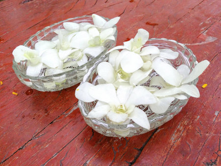 White orchid  in glass bowl on wooden tableの写真素材