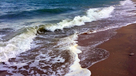 ?Beautiful surf in wildlifeの写真素材