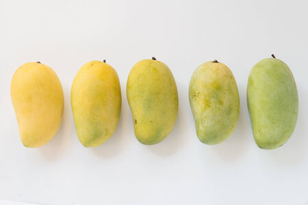 A group of ripen mango form green to yellow.の写真素材