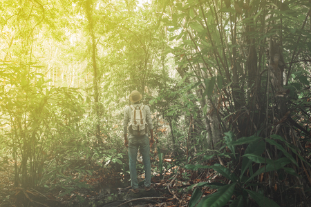 A man standing among jungle there is big tall tree with backpack Travel Lifestyle wanderlust adventure concept summer vacations outdoor alone into the wild,Thailand,Phang nga,Koh yao yaiの写真素材