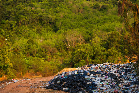 Plastic pollution in ocean environmental problem. bird can eat plastic bags mistaking them for food...