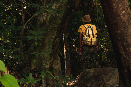 A man standing among jungle there is big tall tree with backpack. concept  of Travel Lifestyle and adventure in vacations alone into the wild tropical,forest in Thailand,Phang nga,Koh yao yaiの写真素材