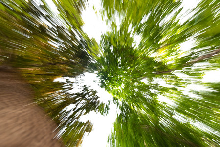 bottom view of tree Speedline fast motion backgroundの写真素材