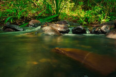 The abundance of forest and water of Thailand,Phang Nga,Koh Yao Yaiの写真素材