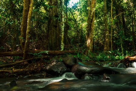 The abundance of à¸°à¸à¸à¸¢à¸£à¹à¸à¸ª forest and water of Thailand,Phang Nga,Koh Yao Yaiの写真素材
