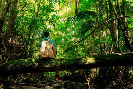Man sitting on old trunk tree there is cover moss in rainforest with backpack in tropical forest...