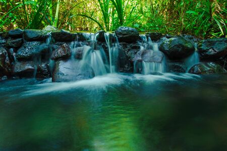 Beautiful mountain stream flow through abundant forests in rainforest of Koh yao yai,Phang Nga,Thailandの写真素材