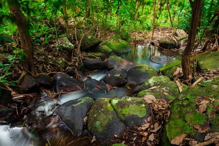 Small creek flows among stones in the forest.Forest in Thailand,Phang nga,Koh yao yai