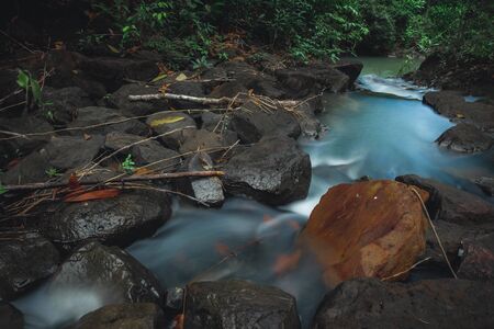 Forest Stream with Water and Nature in Thailandの写真素材