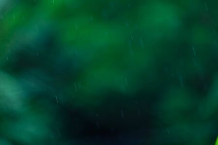 droplets of rain in rainy seasonの写真素材