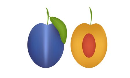 Prunes and Prunes cut vector illustration on White Backgroundのイラスト素材