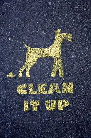 Yellow dog waste imageの写真素材