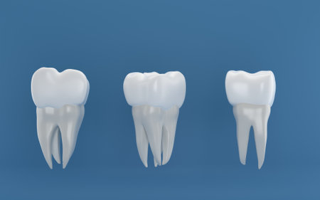 Photo a set of different types of teethの写真素材