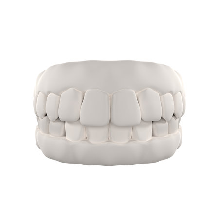3d render of a jaw