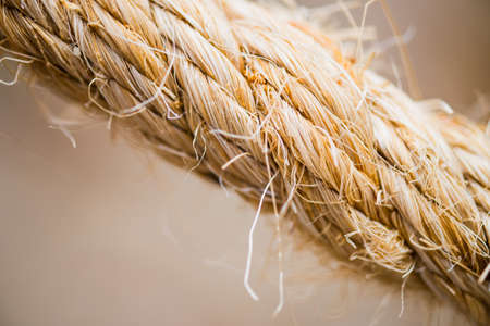 close up rope