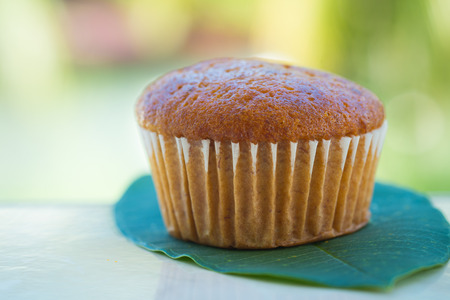 Banana cup cake on the green leafの写真素材