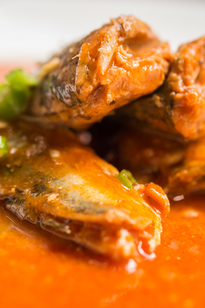 Canned fish in tomato sauce on white plateの写真素材