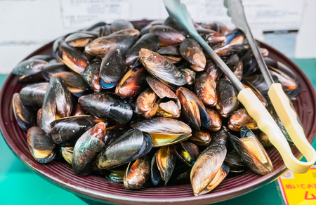 Fresh mussels for barbecue or Japanese style yakinikuの写真素材