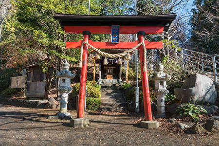 Around Chureito Pagoda stairs during autumnのeditorial素材