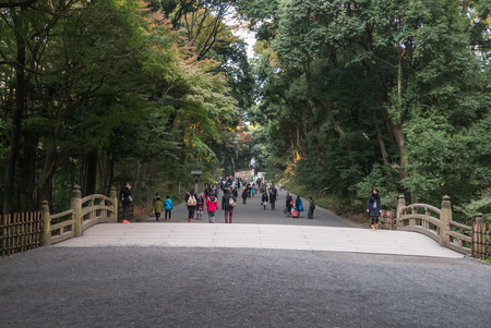 Tokyo, Japan - November 30, 2015: Several tourists visiting the centre of a famous shrine in Tokyo, Japan.のeditorial素材