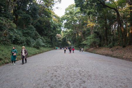 Tokyo, Japan - November 30, 2015: Several tourists visiting the centre of a famous shrine in Tokyo, Japan.のeditorial素材