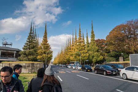 TOKYO, JAPAN - NOVEMBER 30, 2015: Icho Namiki Street in Tokyo, Japan on November 30, 2015. The street nearby Meiji Jingu Gaien that has beautiful Ginkgo along the lenght of the streetのeditorial素材