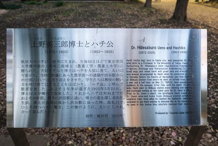 Tokyo - Dec 4, 2015 - The story of Hachiko and his owner is built and located at the faculty of Agriculture at Todai university where his owner worked as professor during being aliveのeditorial素材