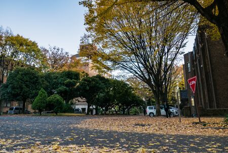 TOKYO, JAPAN - DEC 4, 2015: The University of Tokyo, abbreviated as Todai, is a research university located in Bunkyo, Tokyo, Japan. It is the first of Japan's National Seven Universities.のeditorial素材