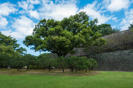 Kumamoto castle in Kumamoto, Japanのeditorial素材