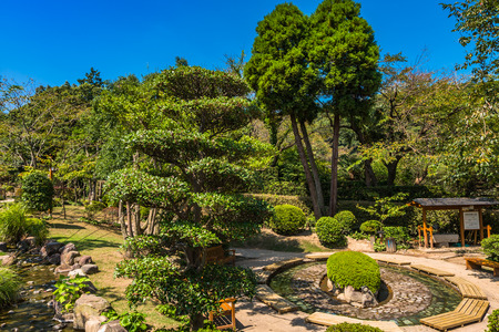 Garden in Oniishibozu Jigoku in Beppu, Oita, Japan.の写真素材