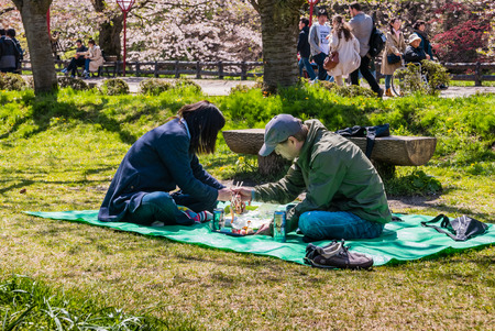Aomori, Japan - April 30, 2016: Tourist at the Hirosaki Castle Park in Hirosaki, Aomori, Japanのeditorial素材