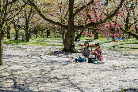 Aomori, Japan - April 30, 2016: Tourist at the Hirosaki Castle Park in Hirosaki, Aomori, Japanのeditorial素材