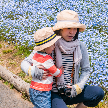 Ibaraki, Japan - May 1, 2016: Tourists at Hitachi Seaside Park in Ibaraki, Japan. Hitachi Seaside Park is a spacious park in Ibaraki Prefecture, Japan featuring a variety of green spaces and seasonal flowers spread out across 350 hectares, as well as an aのeditorial素材