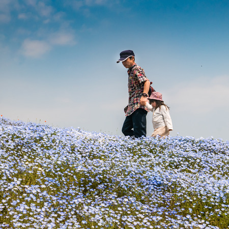 Ibaraki, Japan - May 1, 2016: Tourists at Hitachi Seaside Park in Ibaraki, Japan. Hitachi Seaside Park is a spacious park in Ibaraki Prefecture, Japan featuring a variety of green spaces and seasonal flowers spread out across 350 hectares, as well as an aのeditorial素材